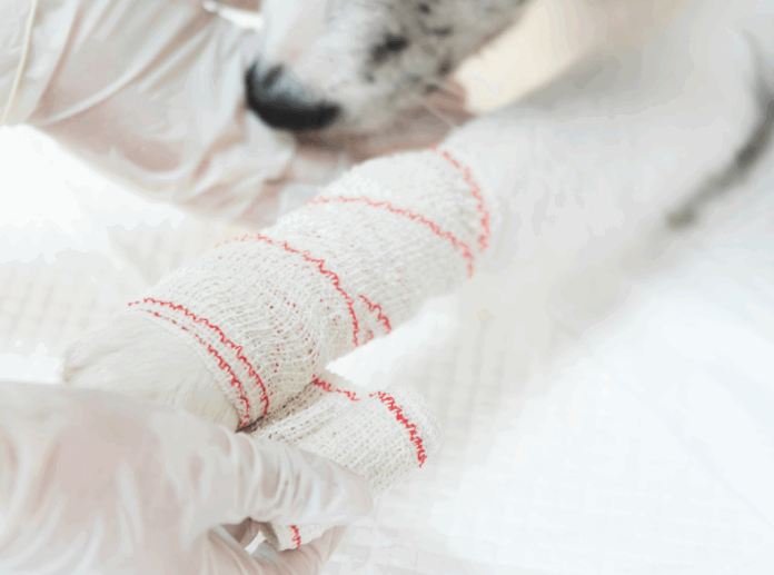 Captura de tela 2025-10-30 081138