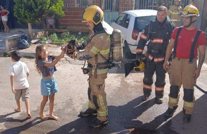 Imagem relacionada à matéria do Repórter Capital sobre incêndio em residência na Samambaia com resgate de cachorro pelo CBMDF.