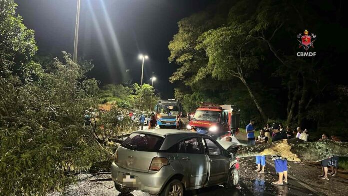 Imagem relacionada à matéria do Repórter Capital sobre queda de árvore que atingiu veículo e interditou rodovia entre o DF e Goiás, com atuação do CBMDF.