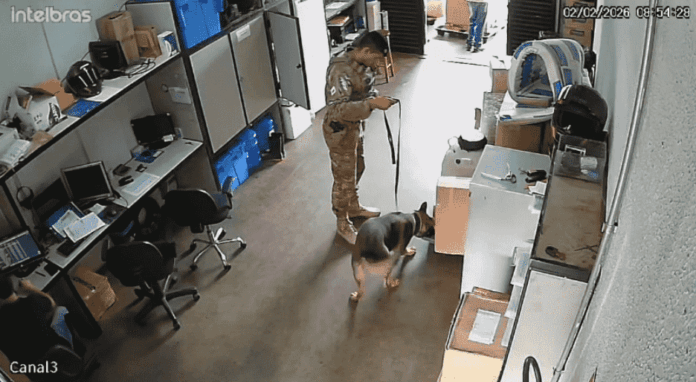 Imagem relacionada à matéria do Repórter Capital sobre apreensão de vapes na Rodoviária Interestadual de Brasília com ajuda de cão farejador.