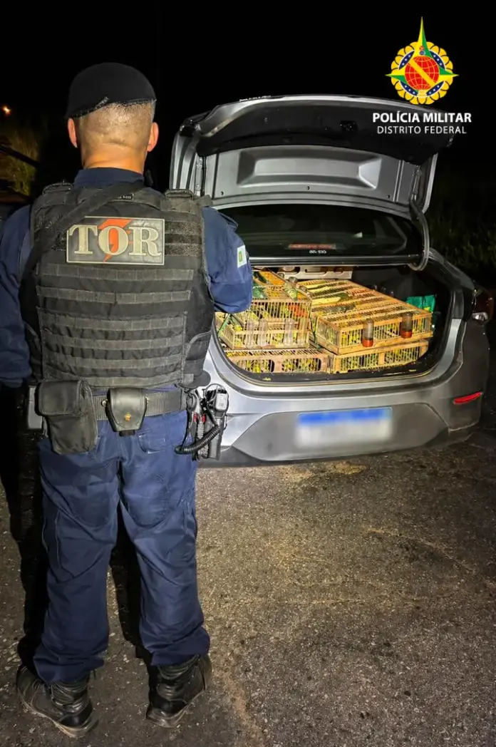 PMDF Intercepta Tráfico Interestadual de Aves e Salva Mais de 300 Pássaros em Planaltina