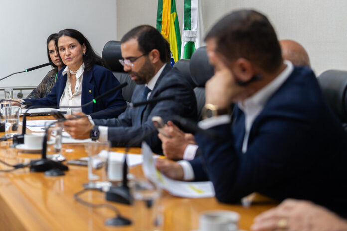 Diana de Almeida Ramos durante sabatina na CLDF para o cargo de procuradora-geral do DF.