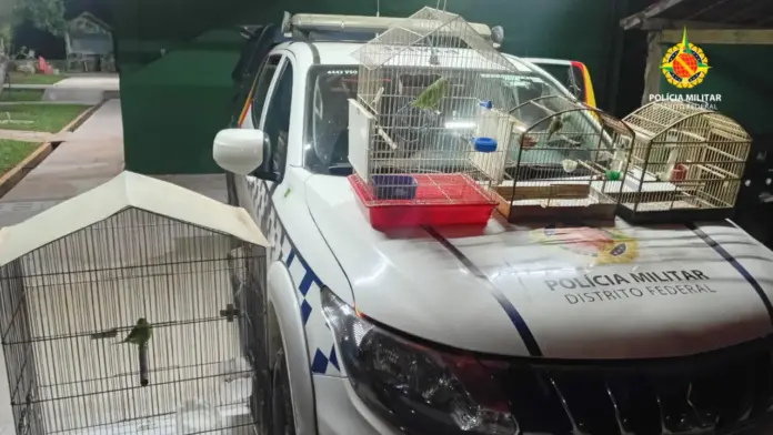 PMDF envia aves apreendidas ao Cetas na última quinta-feira (16)