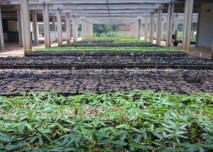 Saneago realiza seleção de propriedades rurais para doação de biossólido