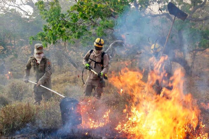 Fapeg divulga chamada pública para projetos de prevenção de incêndios no Cerrado
