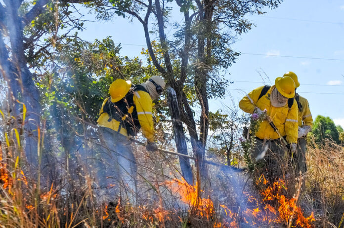 GDF e Ibama oferecem curso para formação de brigadistas no combate a incêndios florestais no DF