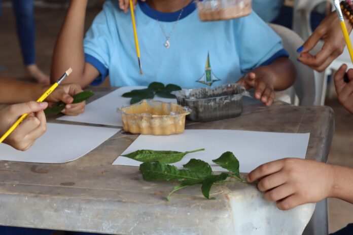 Projeto apoiado por ONG belga une programas do DF e promove educação ambiental por meio da arte