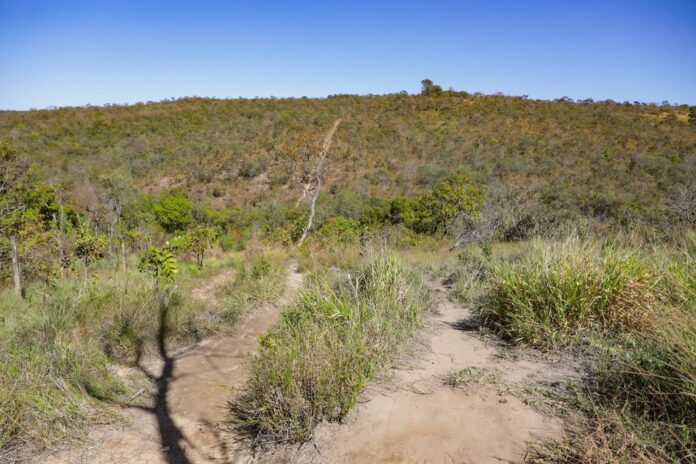 Plataforma interativa 