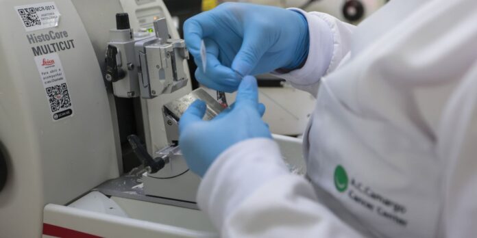 Nova legislação amplia acesso a terapias e vacinas contra o câncer no SUS