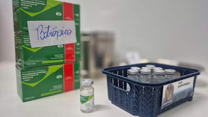 Saúde fornece orientações sobre primeiros socorros para picadas de cobra