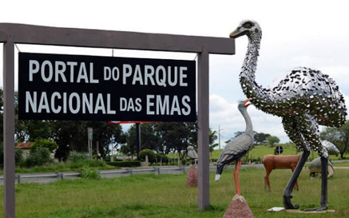 Governo implementa 33 pontos de Wi-Fi público e expande conectividade no estado