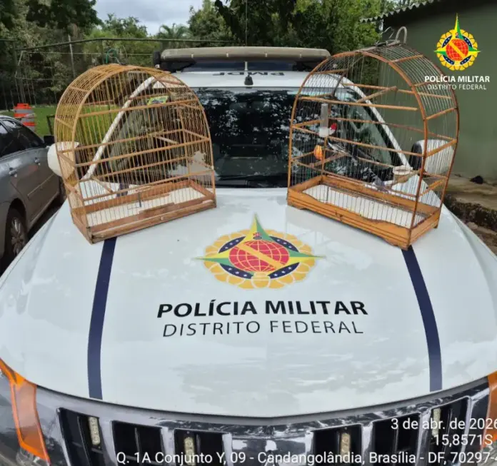 PMDF autua infrator por crime ambiental e apreende aves silvestres em cativeiro no Recanto das Emas