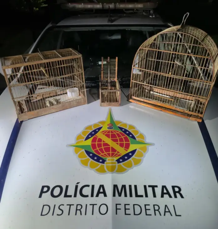 PMDF Autua Homem por Crime contra a Fauna em Ceilândia
