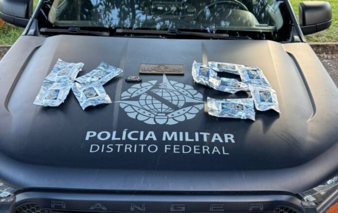 Imagem relacionada à matéria do Repórter Capital sobre apreensão de droga na rodoviária interestadual de Brasília pela PMDF com auxílio de cão policial