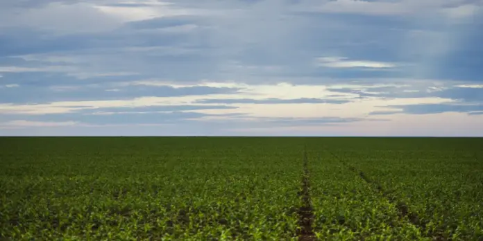 Fazenda analisa criação de Fundo Garantidor para dívidas rurais