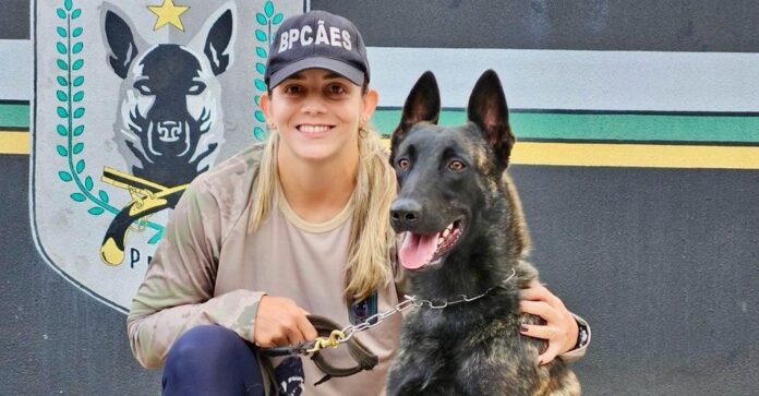 2ª Cãominhada do BPCães registra mais de 2,5 mil inscrições