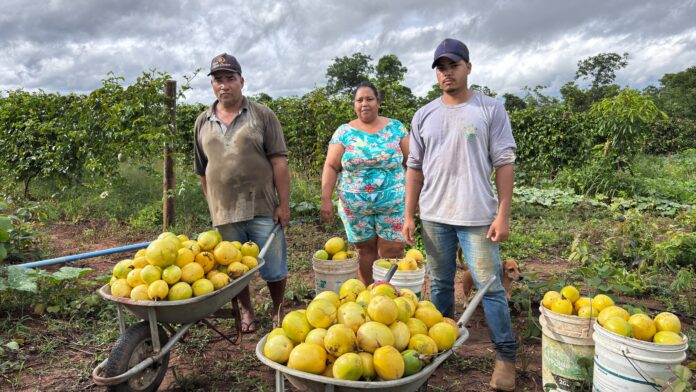 Goiás realizará semana de cadastro para agricultores familiares