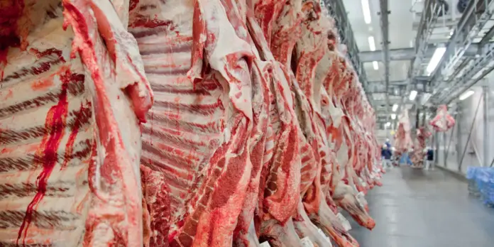 Governo se compromete a reverter veto da UE a carnes e animais do Brasil