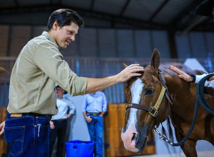 Leilão gera arrecadação superior a R$ 1,6 milhão para o Cora e a OVG