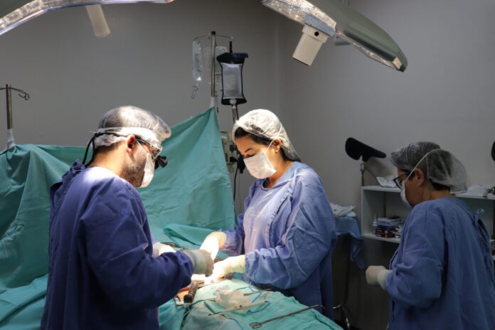 HGG se destaca como o principal transplantador de órgãos do Centro-Oeste