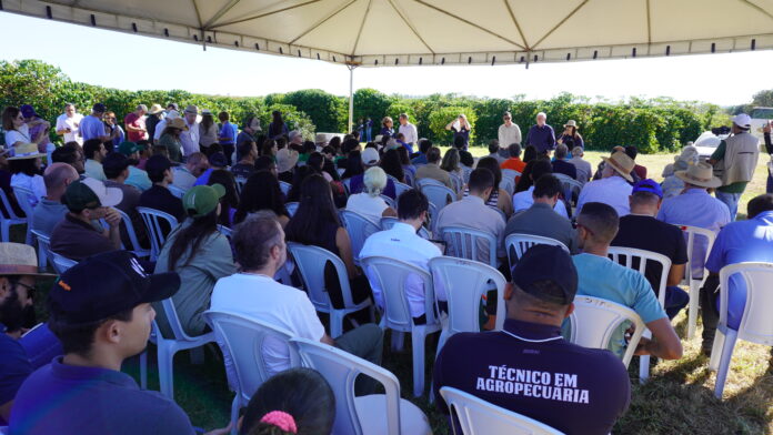 Novas tecnologias aumentam o potencial da cafeicultura no Distrito Federal