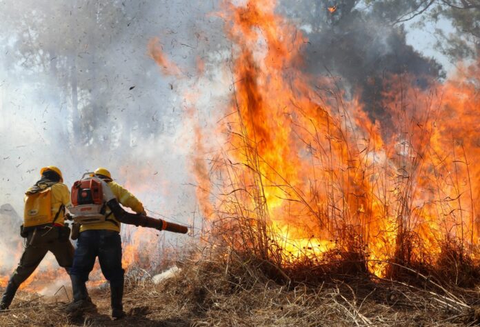 Blitz educativa no Riacho Fundo II promove prevenção a incêndios florestais durante a seca