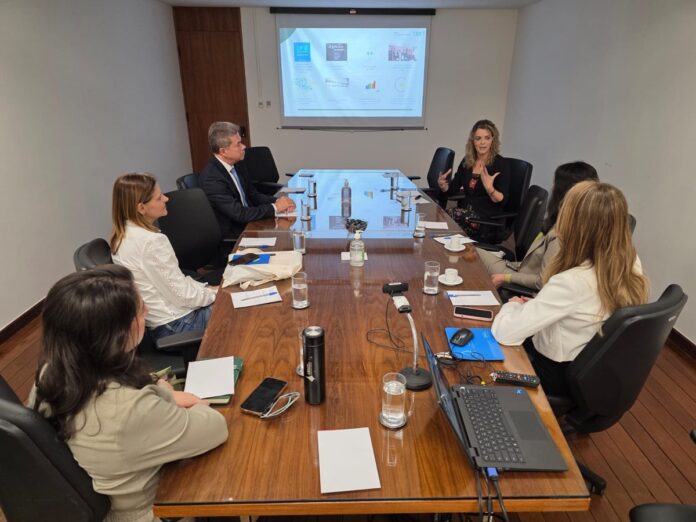 Reunião aprimora estratégias de enfrentamento à violência contra a mulher
