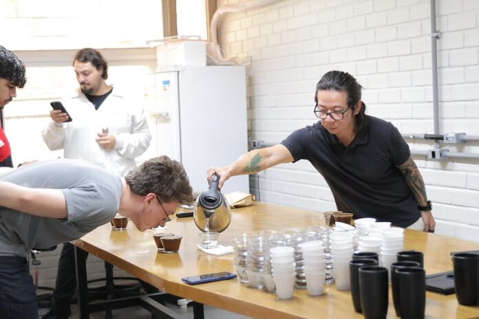Café do DF busca consolidar identidade no mercado brasileiro