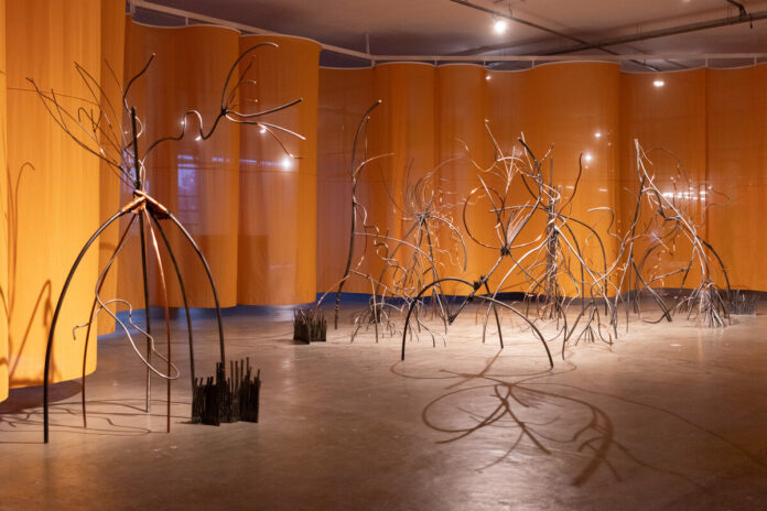 Itinerância da 36ª Bienal de São Paulo é exibida no Museu Nacional até domingo (31)