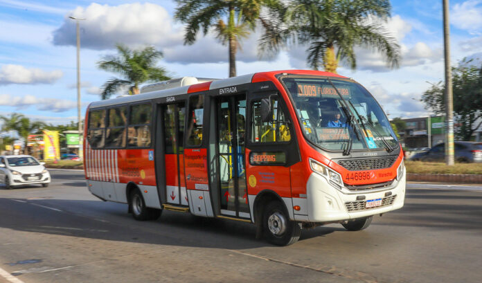 Zebrinhas expandem integração e alcançam mais de 21 mil acessos diários no DF