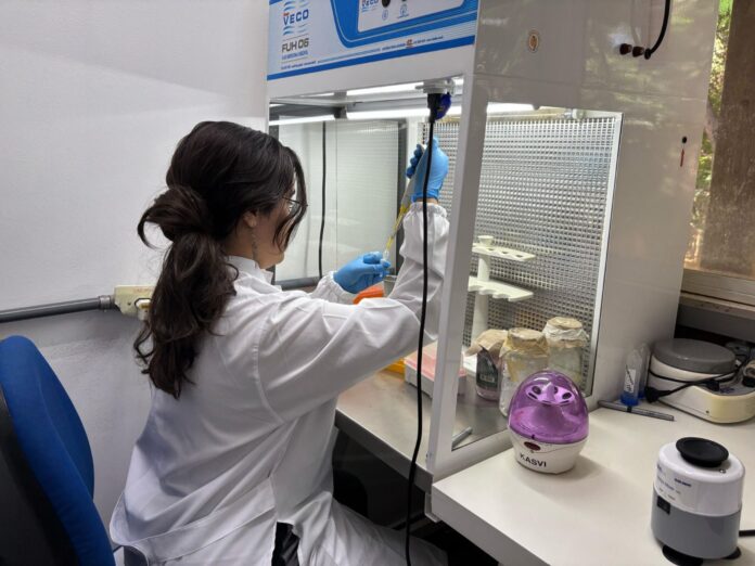Fapeg estende prazo para inscrições em bolsas de mestrado internacional