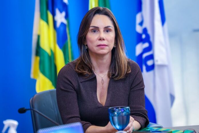 Secretária da Economia de Goiás participa do Comitê Gestor
