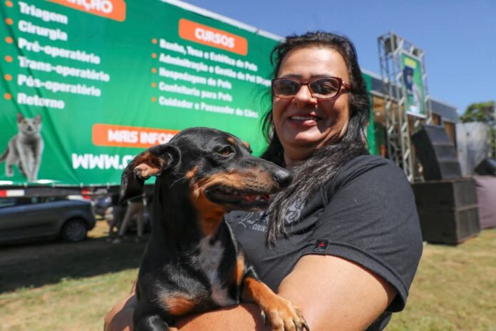 Campanha gratuita de castração de cães e gatos no Distrito Federal