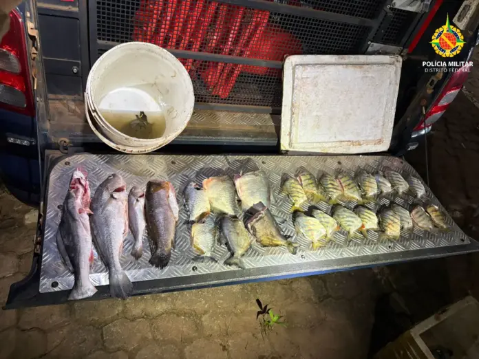 PMDF apreende pescado e animal silvestre em transporte irregular durante operação de barreira ambiental em Brazlândia