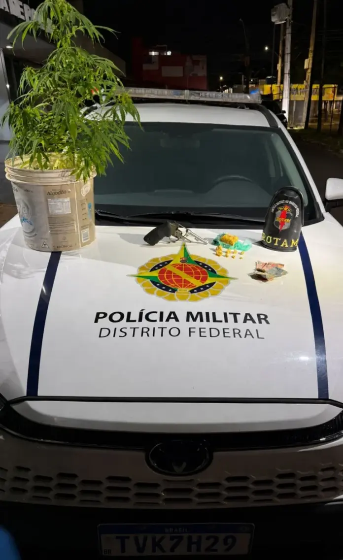 PMDF Apreende Arma, Drogas e Pé de Maconha com Homem Reincidente em Ceilândia