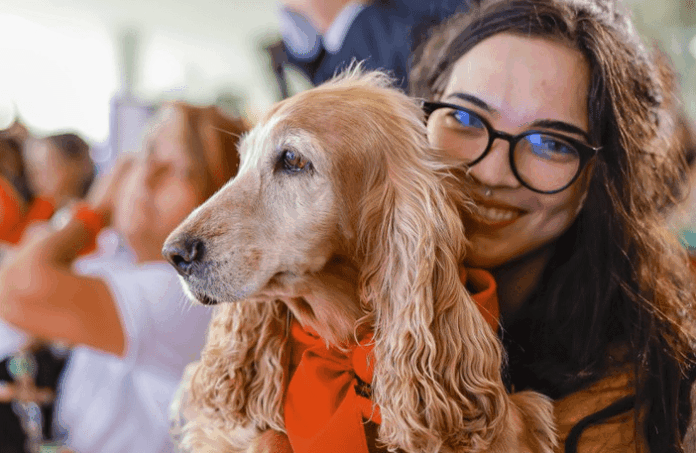 A imagem mostra uma garota com um cachorro no colo