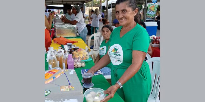 Agricultores familiares registram aumento de 30% na renda com programa federal