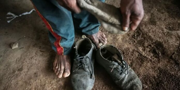 Senado aprova medidas de proteção para trabalhadores resgatados de trabalho escravo