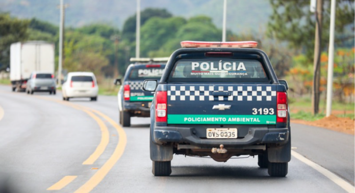 Programação especial celebra Semana do Meio Ambiente 2026