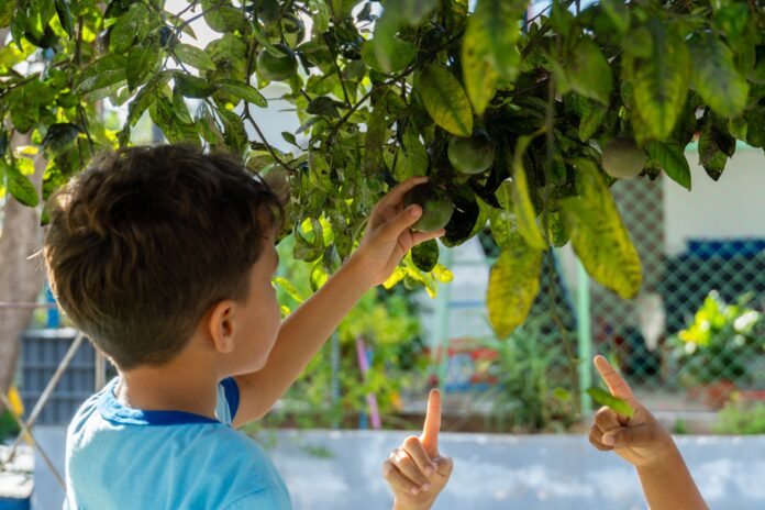 Escolas públicas do Distrito Federal capacitam alunos como guardiões do meio ambiente