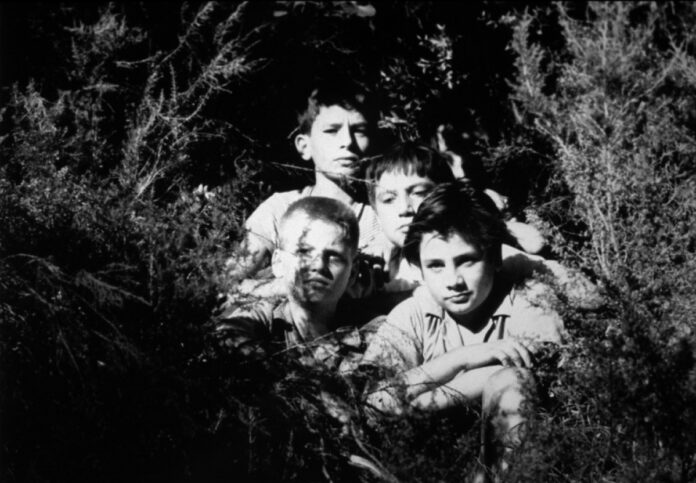 Cine Brasília apresenta sessão clássicos em homenagem a François Truffaut