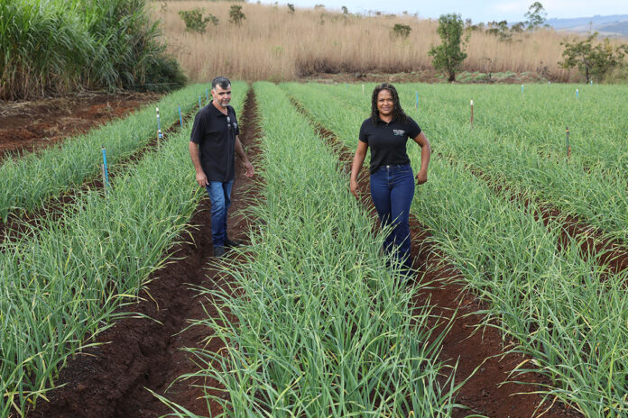 DF registra mais de 1,2 mil projetos e R$ 67 milhões em crédito rural desde 2019