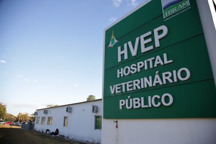 Aberto chamamento público para a gestão do Serviço Veterinário Público do Distrito Federal