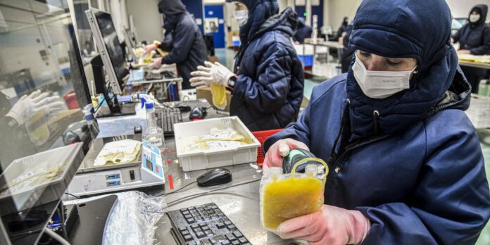 Projeto isenta licitação para aquisição de medicamentos fabricados pela Hemobrás
