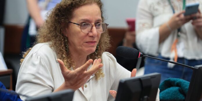 Parlamentares da base governista viajam aos EUA para apresentar contraponto à direita