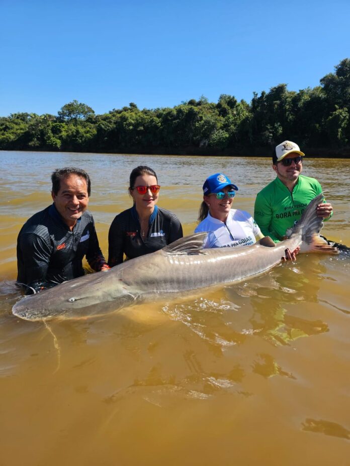 Novas regras para a pesca em Goiás: saiba o que muda