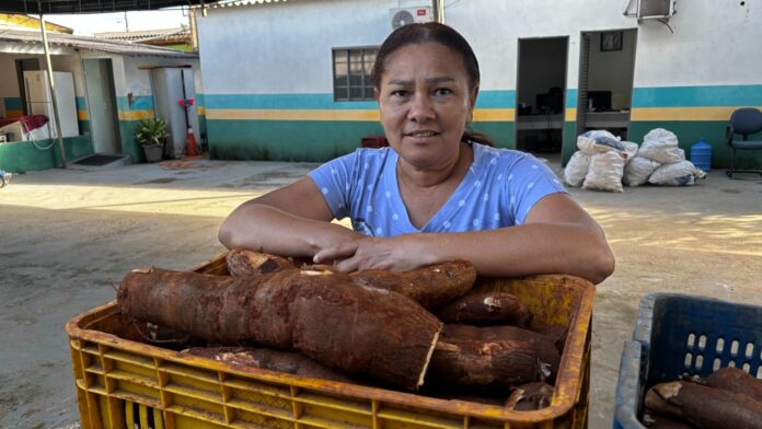 Prazo do Programa de Aquisição de Alimentos é ampliado em Goiás