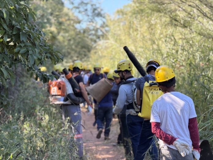 Brigadistas comunitários atuarão em incêndios florestais em Goiás