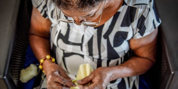 Programa de atenção domiciliar expande cuidados para idosos em todo o país