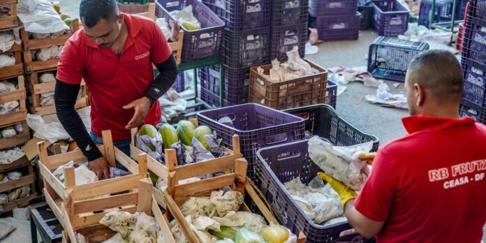 Governo divulga crédito de R$ 97,3 bilhões para agricultores familiares